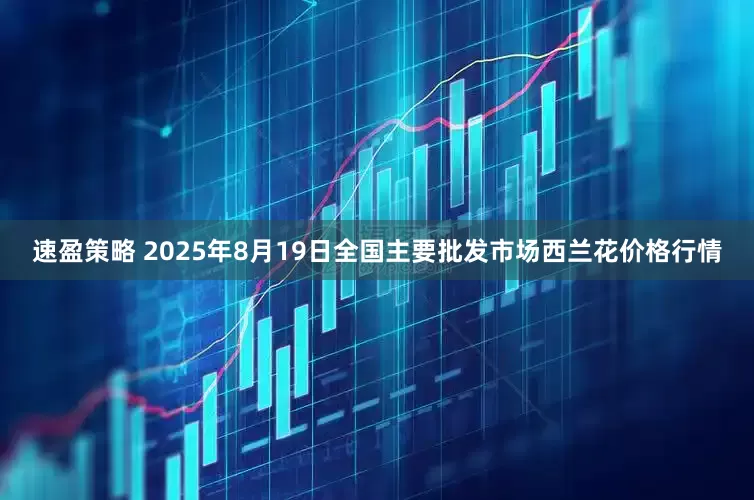 速盈策略 2025年8月19日全国主要批发市场西兰花价格行情