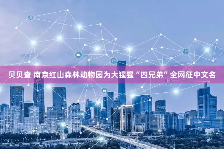 贝贝查 南京红山森林动物园为大猩猩“四兄弟”全网征中文名